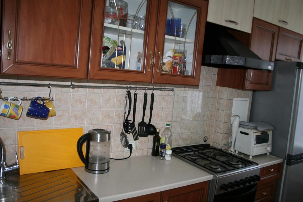 Cosy One Room Apartment Vilna Exterior foto
