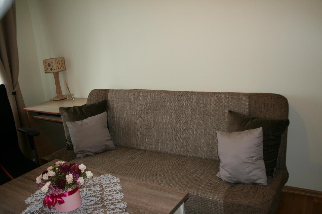 Cosy One Room Apartment Vilna Exterior foto